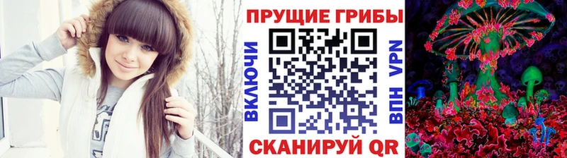 Псилоцибиновые грибы Psilocybe  Кола 